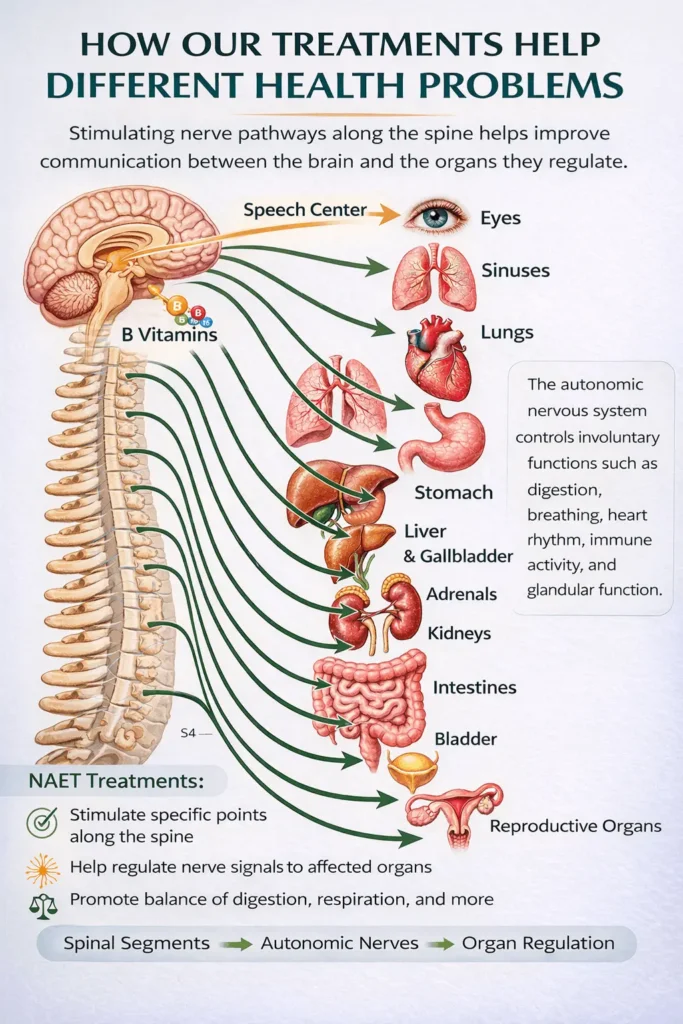 Biological Approach to Autism